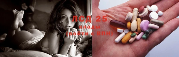 крисы Абаза