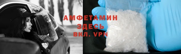крисы Абаза