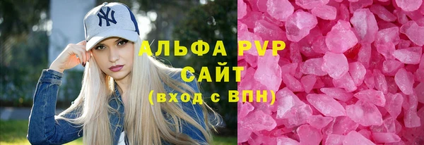 крисы Абаза